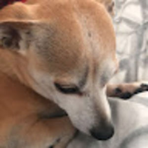 Meet your Posher, Elijah